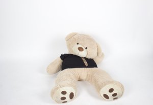 The Bear